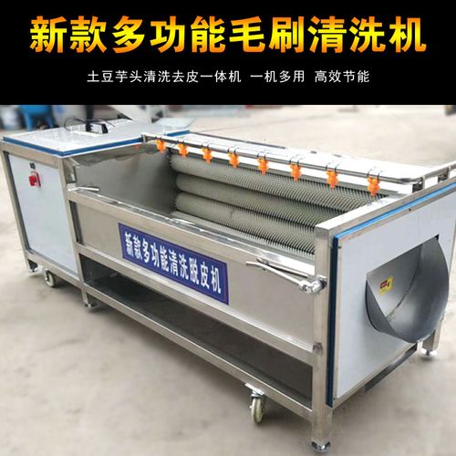 水產類貝殼清洗機 毛輥清洗機 專業毛刷清洗設備
