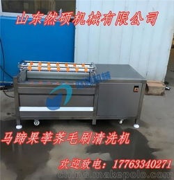廠家直銷全自動毛刷清洗機 毛輥清洗機 果蔬清洗設(shè)備 歡迎致電