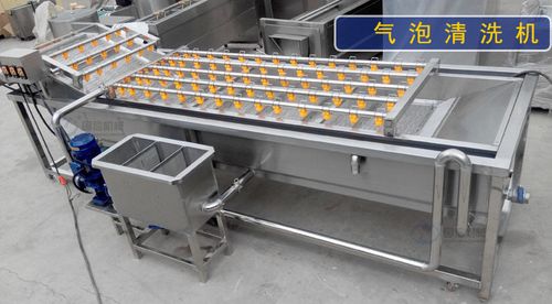 廠家供應 翻滾式菠菜快速清洗設備 自動化蔬菜清洗生產線