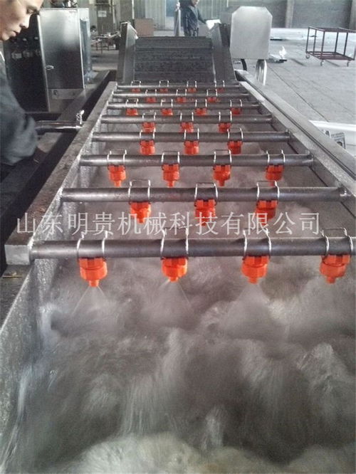 辣椒氣泡清洗機設備型號 山東明貴機械 山東辣椒氣泡清洗機設備