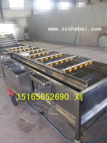 【海帶辣椒清洗機(jī)沖浪式清洗機(jī)設(shè)備凍干蔬菜清洗線】-