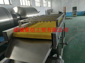 醬菜去雜去毛發清洗設備價格,產品報價