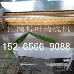 【廣東粽葉清洗機圖片hh-1000型葉片類雙面清洗加工設備廠家】-