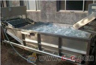 大型氣泡果蔬清洗機 全自動果蔬清洗設備 清洗機