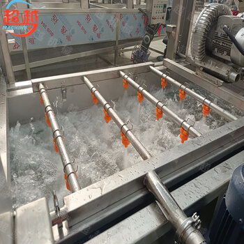 諸城超越 3500l水蜜桃清洗機(jī) 多功能商用果蔬清洗設(shè)備