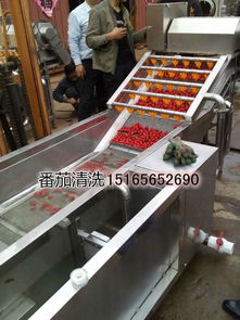 【菌類蔬菜清洗機,大型洗菜機多功能洗菜機】-