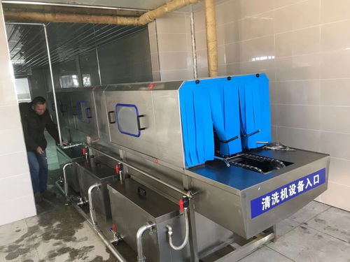豆腐板筐清洗設備